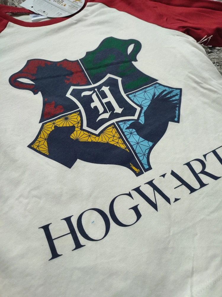 Chlapecké triko HARRY POTTER