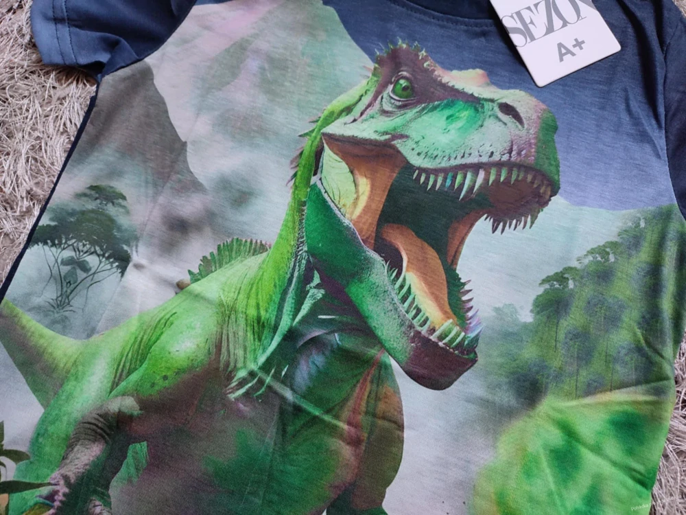 Chlapecké triko SEZON (116-146)