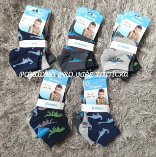 Chlapecké kotníkové ponožky DINO Pesail