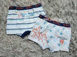 Chlapecké boxerky HARRY POTTER 2pack (116-152)